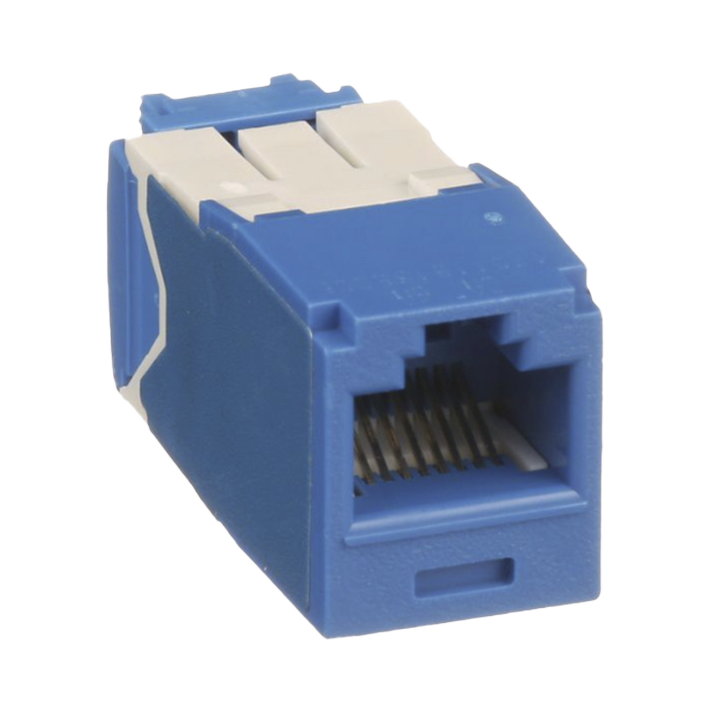 Conector Jack RJ45 Estilo TG, Mini-Com, Categoría 6A, de 8 Posiciones y 8 Cables, Color Azul